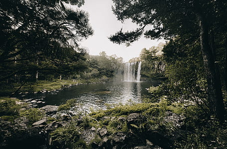 waterfalls and trees under grey clouds thumbnail