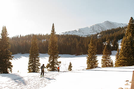 person trekking on snow covered ground thumbnail