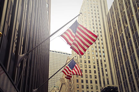 American flags waving in the city on a sunny day with skyscrapers in the background thumbnail