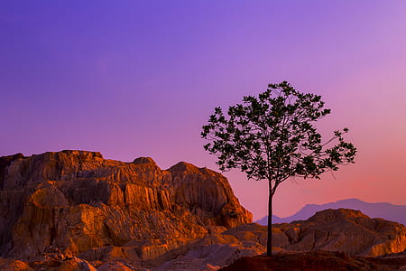 silhouette of trees near mountain during dusk thumbnail