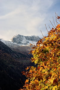 yellow trees and mountains during daytime thumbnail