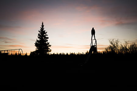 silhouette photography of person standing on slide near tree thumbnail