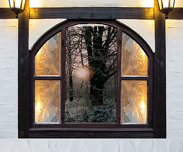 withered tree between windows thumbnail