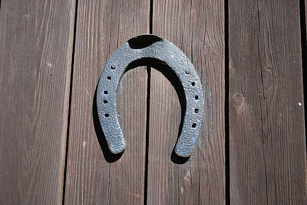 gray steel horse shoe thumbnail