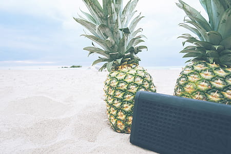 two pineapples on beach thumbnail