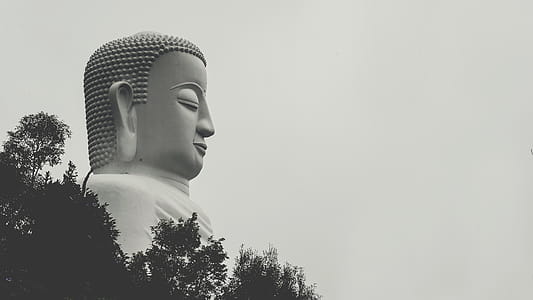 black-and-white, sky, art, trees thumbnail