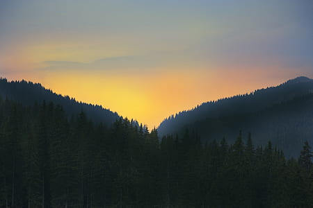 landscape photo of trees and mountain thumbnail