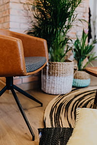 Details of modern interior with green plants thumbnail