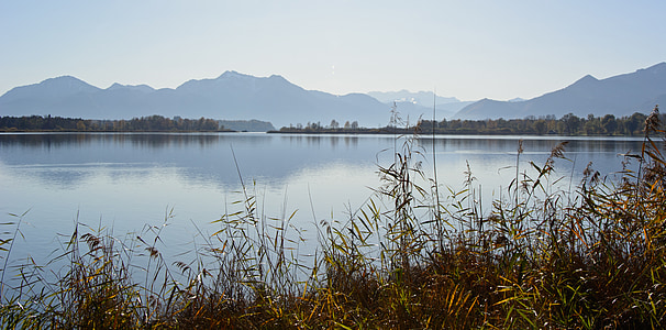 green grass near body of water thumbnail