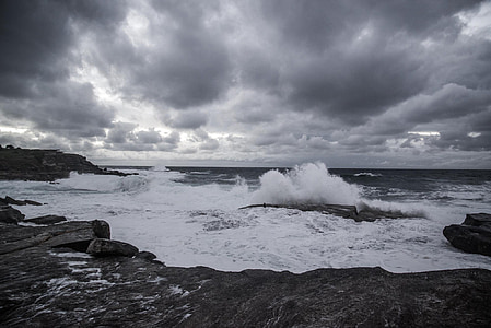 sea shore under cloudy sky thumbnail