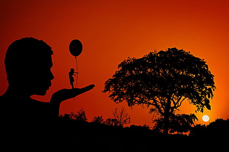 silhouette person near tree thumbnail