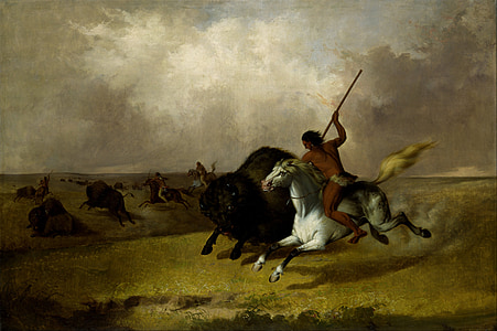 native American riding horse hunting bison painting thumbnail