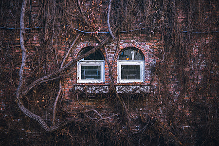 two white wooden full-glass window pane thumbnail