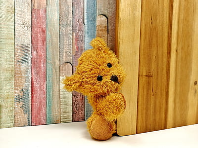 brown teddy bear beside board thumbnail