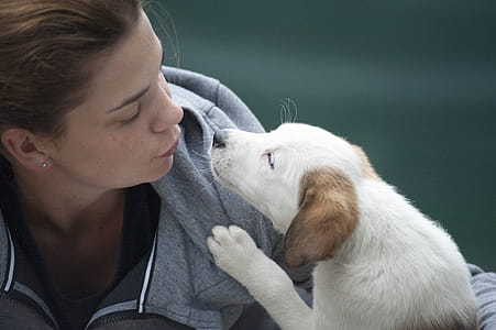 Woman Wearing Gray Jacket Beside White Puppy thumbnail