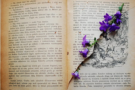 book page and purple flowers thumbnail