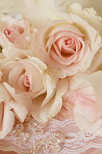 white and pink roses thumbnail