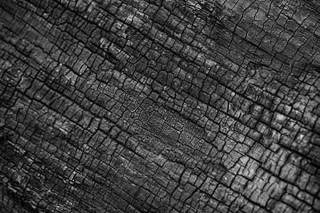 fire, tree, coal, wood, texture, natural thumbnail