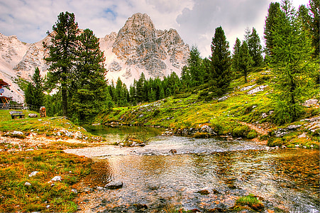 landscape photo of river surrounded by trees nearby mountains thumbnail