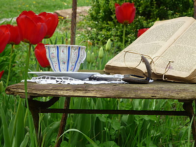 teacup on saucer beside book opened on the table thumbnail