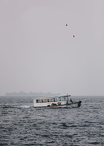 white and teal vessel on body of water under gray sky thumbnail