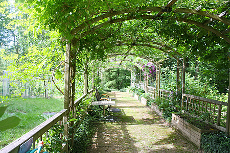 person showing a garden during daytime thumbnail