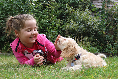 girl wearing hoodie jacket on the grass while playing with dog thumbnail