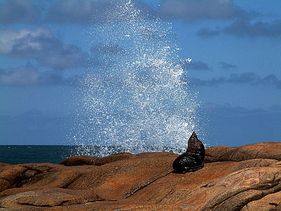 splash of water under nimbus clouds thumbnail