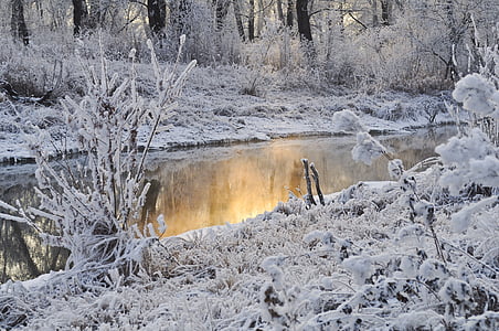 grass covered with snow near river thumbnail
