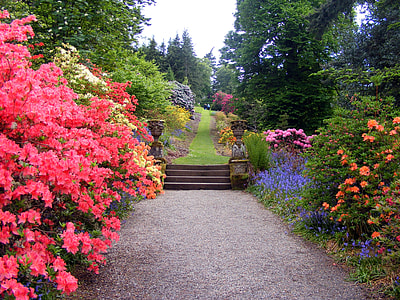 photo of gray pathway between orange and pink petaled flowers thumbnail