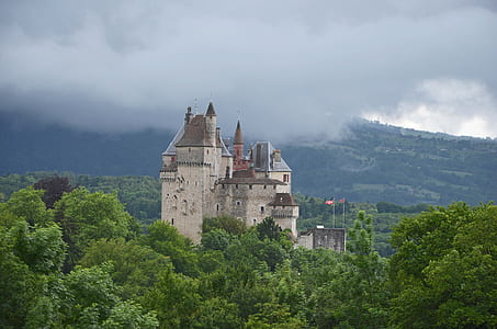gray stone castle surrounded with trees thumbnail