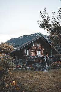 photo of black and brown wooden house near green leaf tree under white clouds at daytime thumbnail