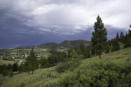 Mountainside landscape with pine trees in Helena, Montana thumbnail