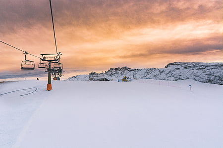 bare tree on the snowy field photography thumbnail