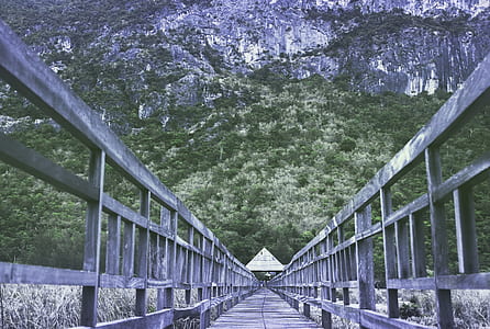 low-angle photography of gray wooden bridge near mountain thumbnail