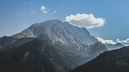 mountain and forest thumbnail