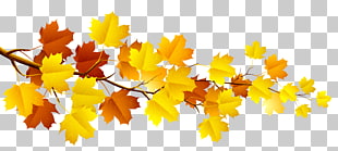 Branch Autumn Tree , Branch with Autumn Leaves , yellow and brown maple branch PNG clipart