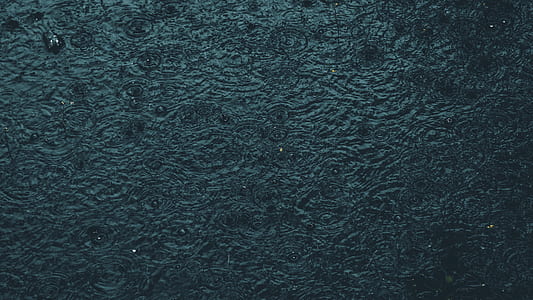 water, wet, rain, ripples thumbnail