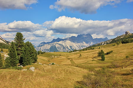 landscape photography of green grass and mountain alps thumbnail