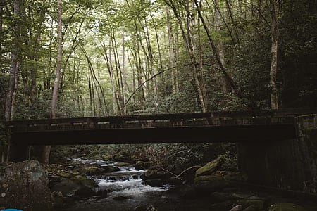 river under brown wooden bridge thumbnail