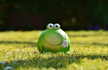 closeup photo of green frog figurine thumbnail