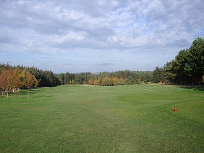 landscape photography of green grass field thumbnail