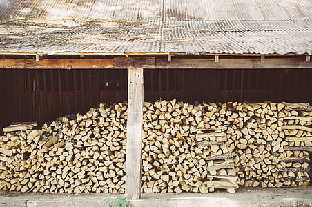 brown tree logs thumbnail