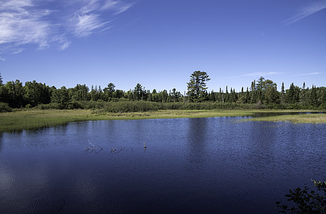 Peshekee River landscape in Van Riper State Park, Michigan thumbnail