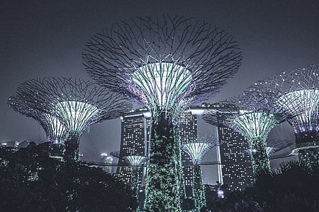 The Gardens by the Bay, Singapore thumbnail