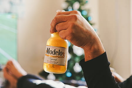 person holding Modelos beer bottle thumbnail