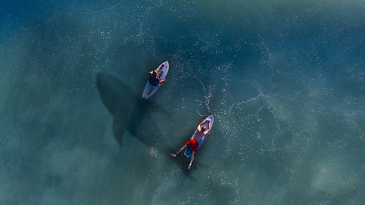 two man riding on personal watercraft with a shadow of a sea creature photo thumbnail