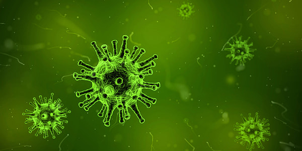 Virus Cells in green dye thumbnail