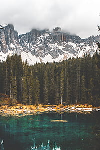 rock formation covered with fogs near green trees and body of water at daytime thumbnail