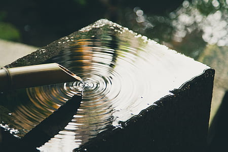 shallow focus photography of water drop in bamboo stick thumbnail